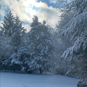 Happy Martin Luther King Day!! Winter Wonderland Snowy Landscape